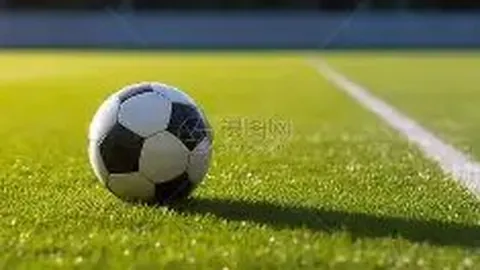 开云体育官方网站 产品 085207 77m