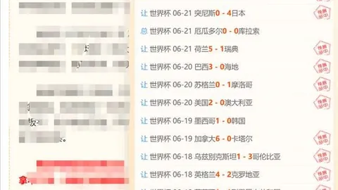 开云体育官方，开云体育App，网站 132636 1
