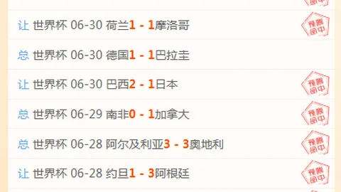开云体育官方网站 133335 2